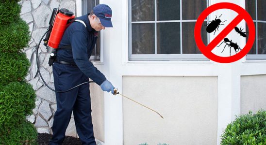 Evka 6 Böcek İlaçlama böcek ilaçlama ve haşere kontrolü — ilaclama-tr.com
